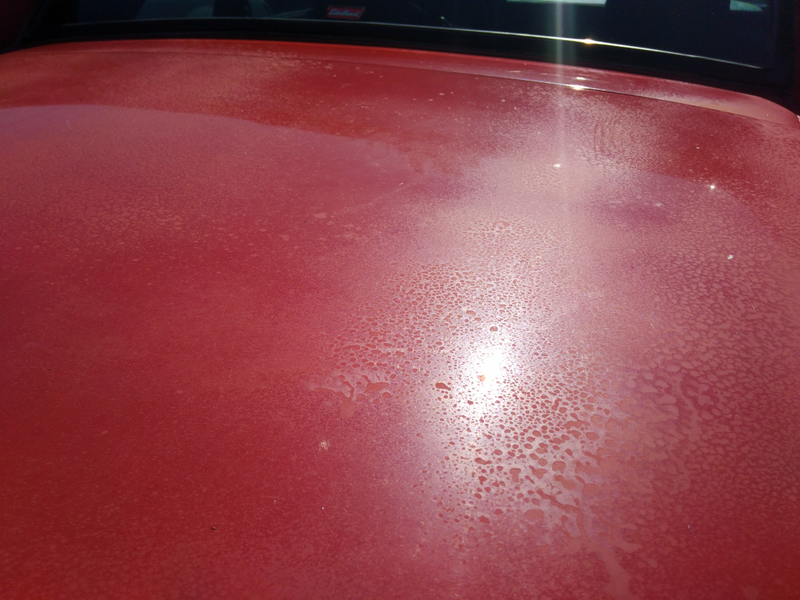 Illustration for article titled Jaguar Paint Correction: Polishing a Turd
